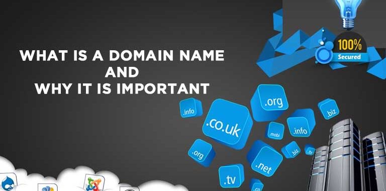 WHAT IS A DOMAIN NAME AND WHY IT IS IMPORTANT